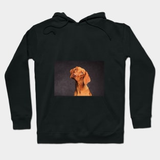 Vizsla Hoodie